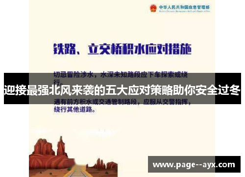 迎接最强北风来袭的五大应对策略助你安全过冬