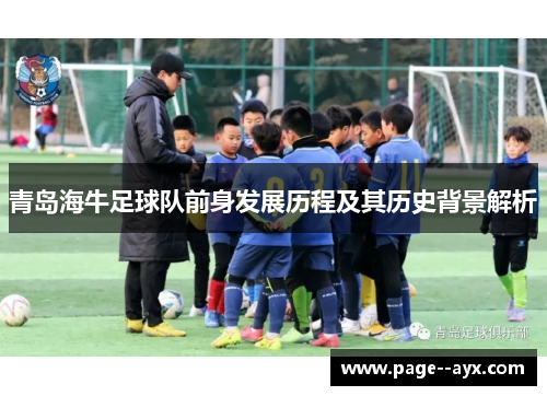 青岛海牛足球队前身发展历程及其历史背景解析