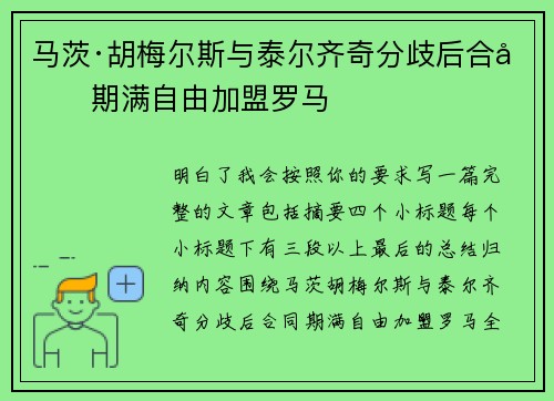马茨·胡梅尔斯与泰尔齐奇分歧后合同期满自由加盟罗马 马茨·胡梅尔斯与泰尔齐奇分歧后合同期满自由加盟罗马