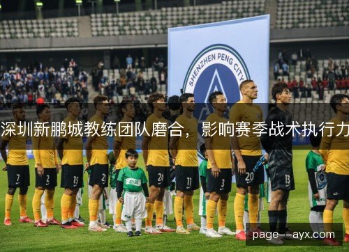 深圳新鹏城教练团队磨合，影响赛季战术执行力